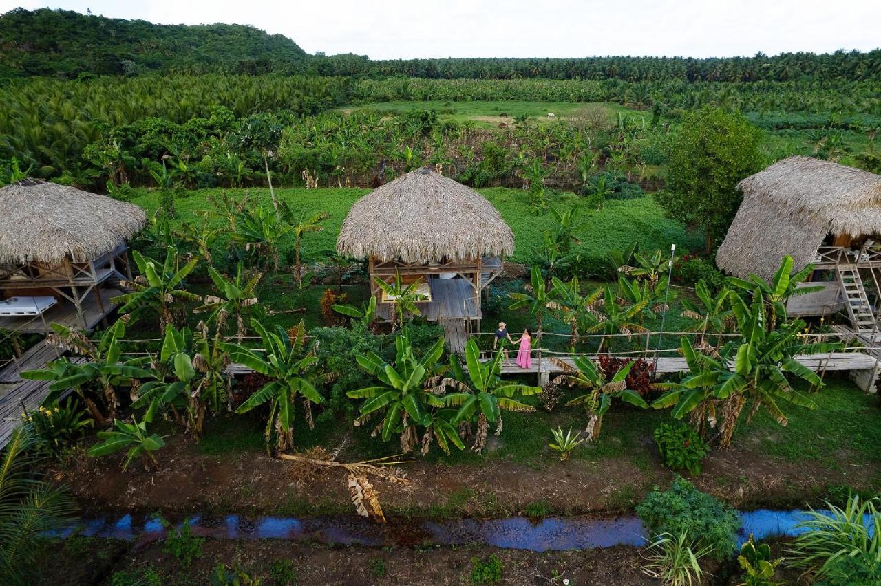 Samana Ecolodge El Limon Εξωτερικό φωτογραφία