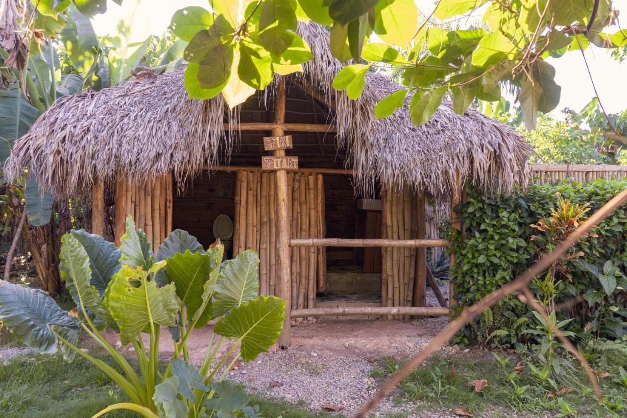 Samana Ecolodge El Limon Εξωτερικό φωτογραφία