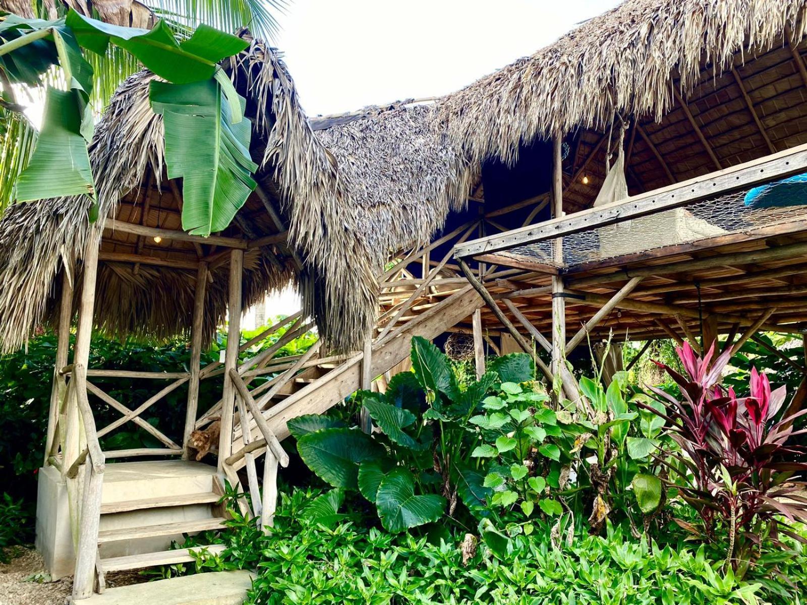 Samana Ecolodge El Limon Εξωτερικό φωτογραφία