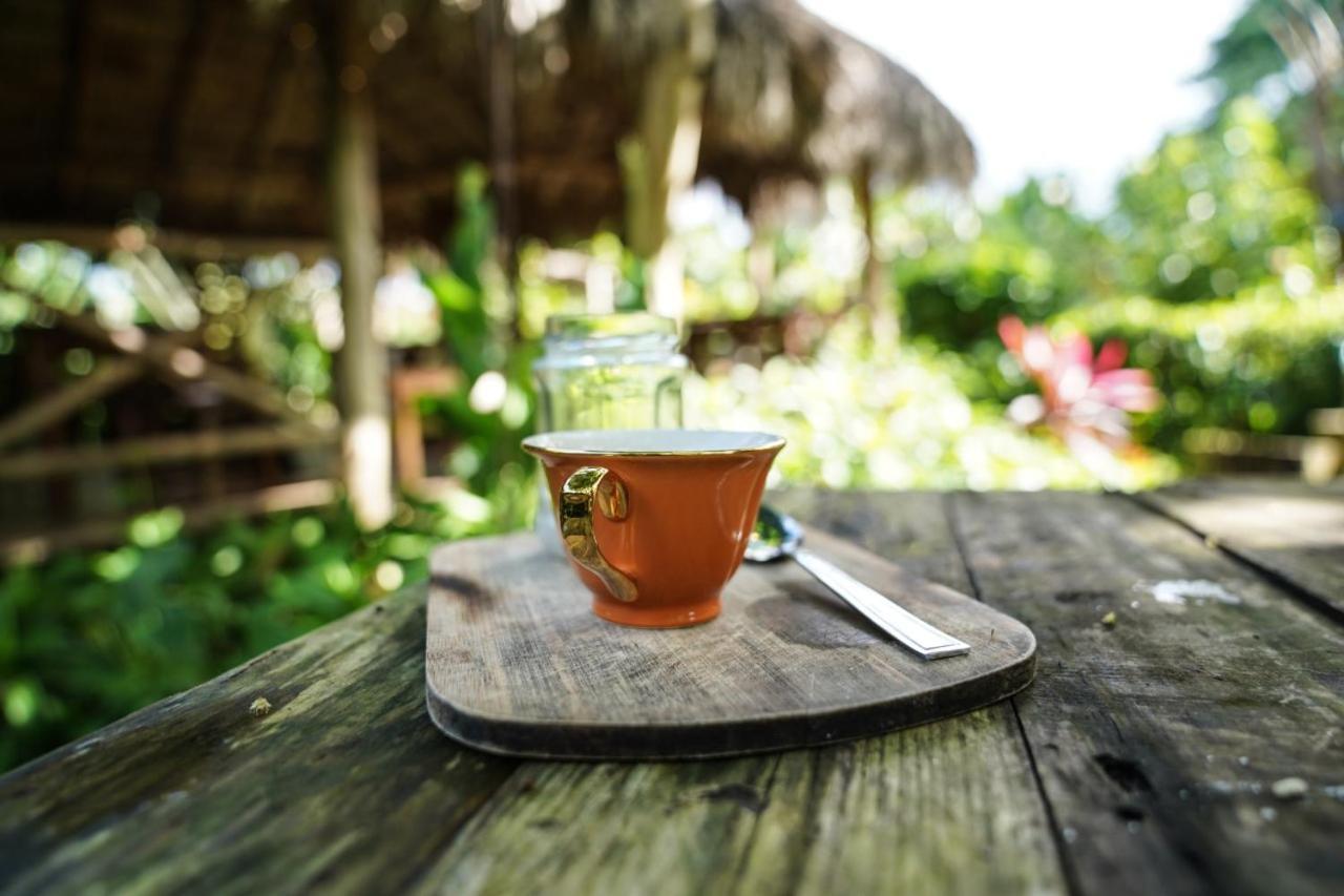 Samana Ecolodge El Limon Εξωτερικό φωτογραφία