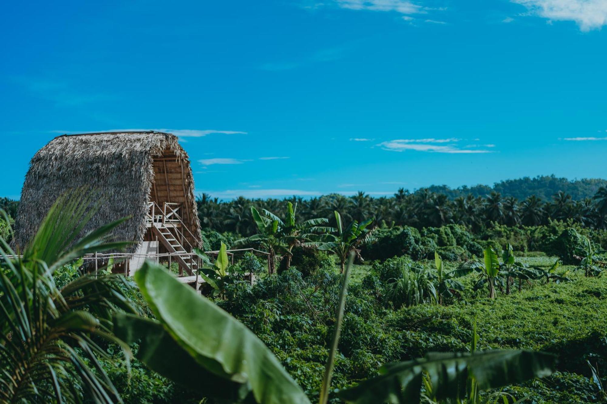 Samana Ecolodge El Limon Εξωτερικό φωτογραφία