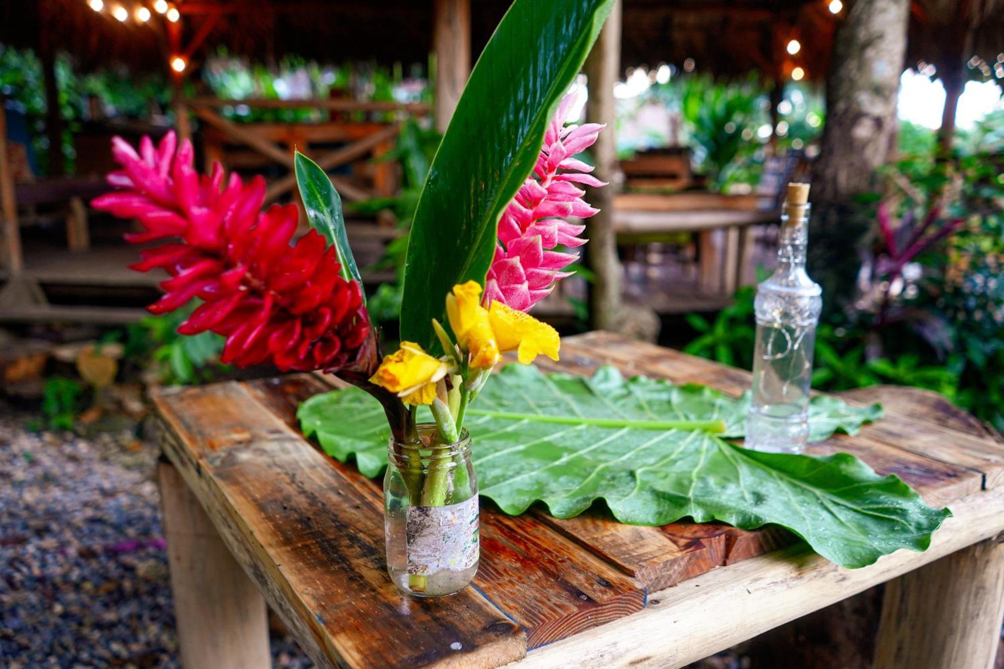 Samana Ecolodge El Limon Εξωτερικό φωτογραφία